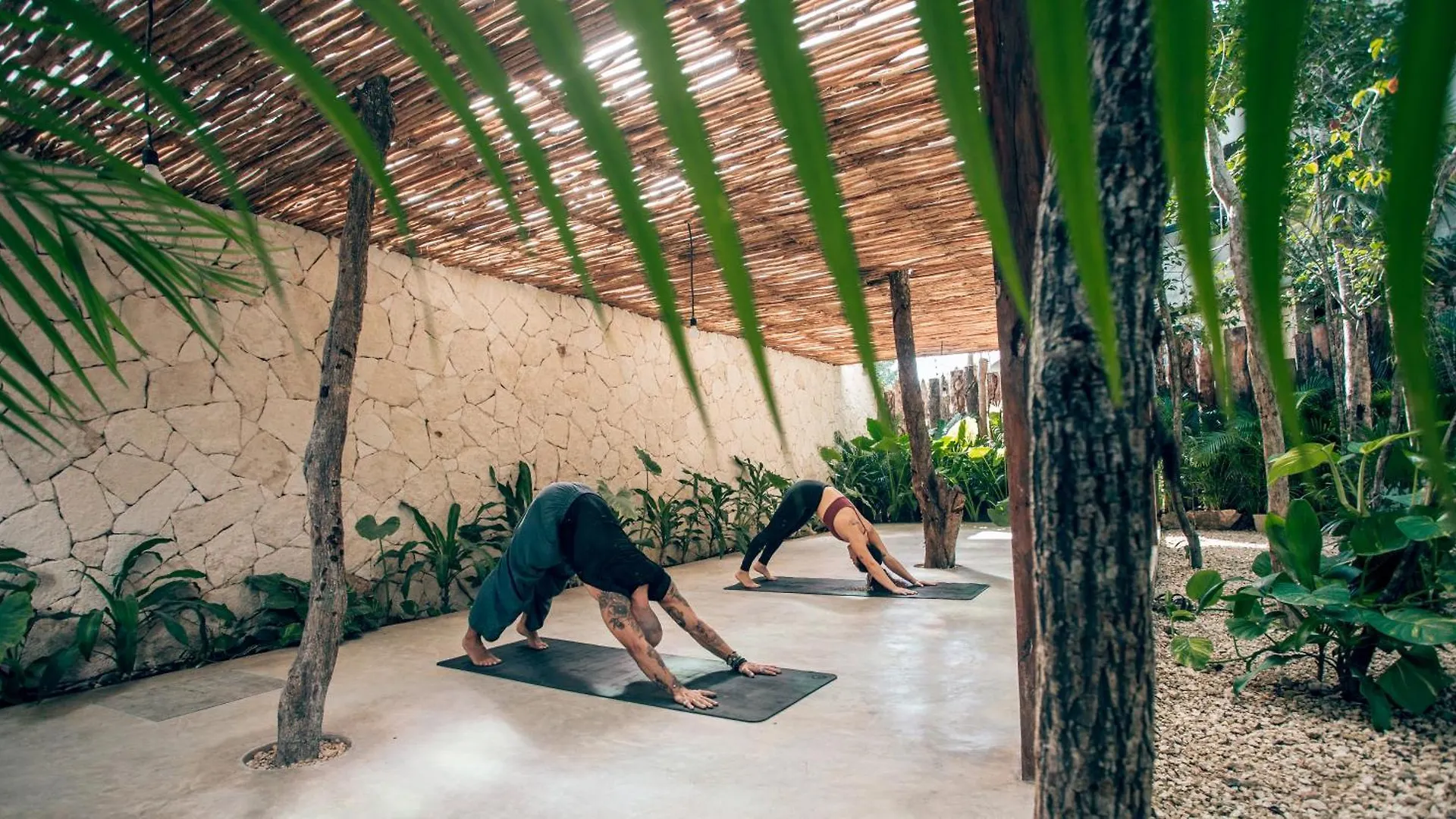 Luxury Jungle Villa-Pvt Pool -100Mbs- Concierge 8A Tulum 0*,